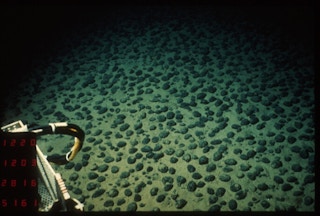 Mineral concretion on the seafloor can contain valuable metals.