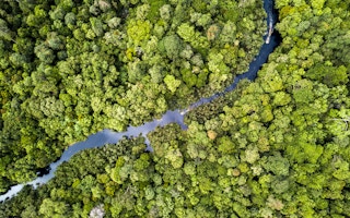 An aerial view of a river in Riau Province where APRIL is restoring 150,000 ha of degraded peat forest