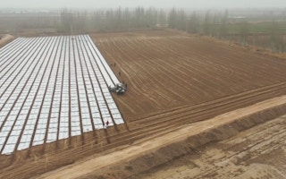Cotton planting Xinjiang China