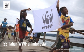 Children hold a WWF banner to celebrate 55 years of operations for the NGO in Indonesia. Image: WWF-Indonesia/Novie Sartyawan