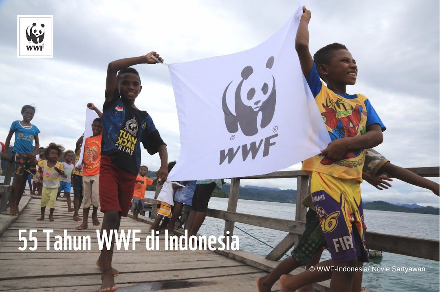 WWF has forest conservation fieldwork permit revoked in Indonesia ...