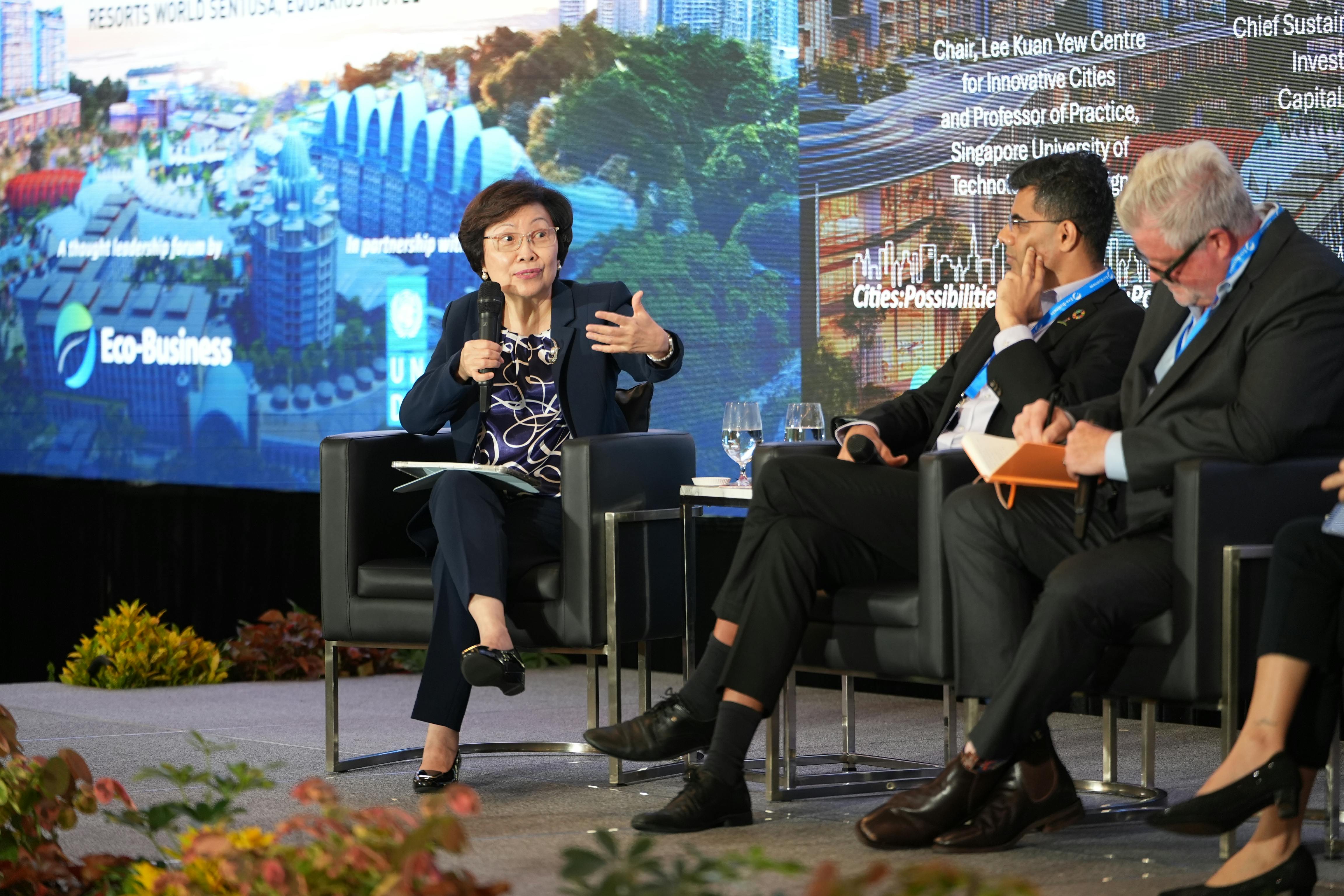 Cheong-Chua Koon Hean, chair, Lee Kuan Yew Centre for Innovative Cities