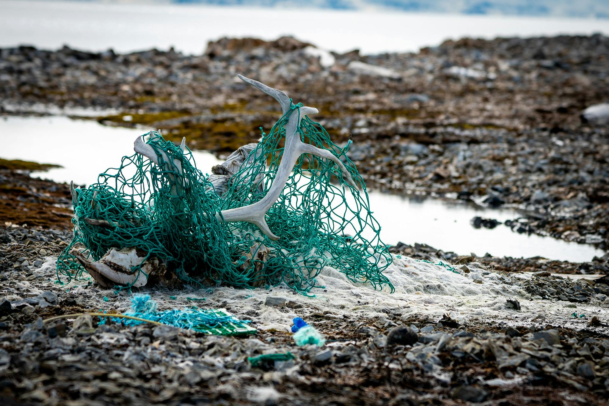 The Global Plastics Treaty: We Need Speed, Standards, Scale And Teeth ...