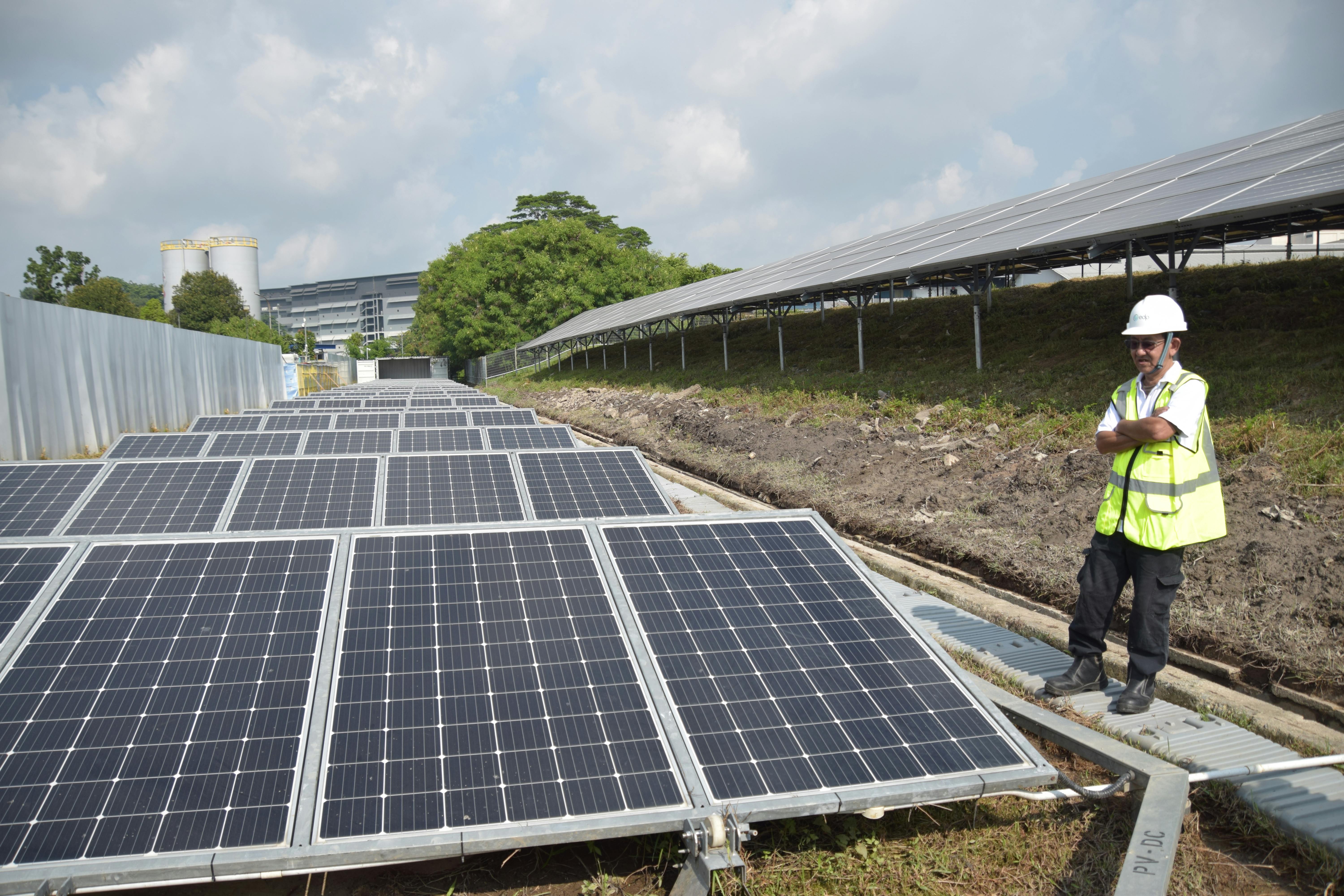 EDP Renewables APAC solar panels in Singapore