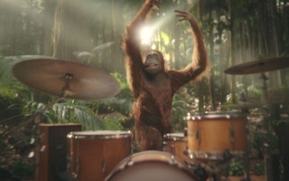 Darrell Lea orangutan ad