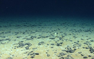 Nodules on the deep sea floor