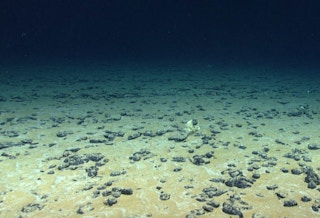 Nodules on the deep sea floor