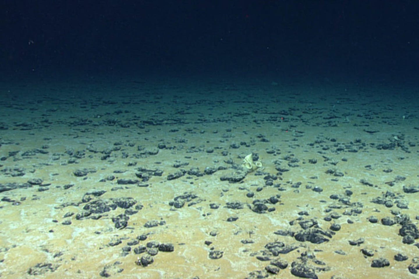 Why the worry about deep-sea mining? | Podcasts | Eco-Business | Asia ...