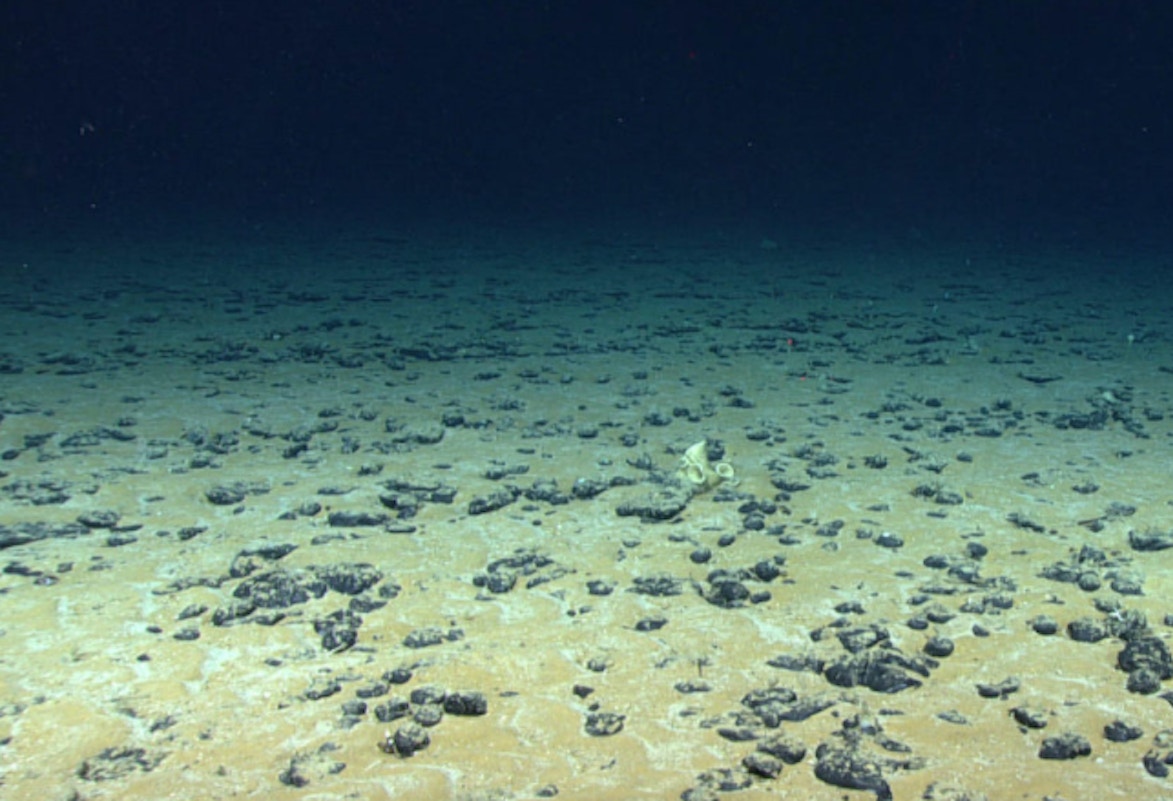 deep ocean floor wallpaper