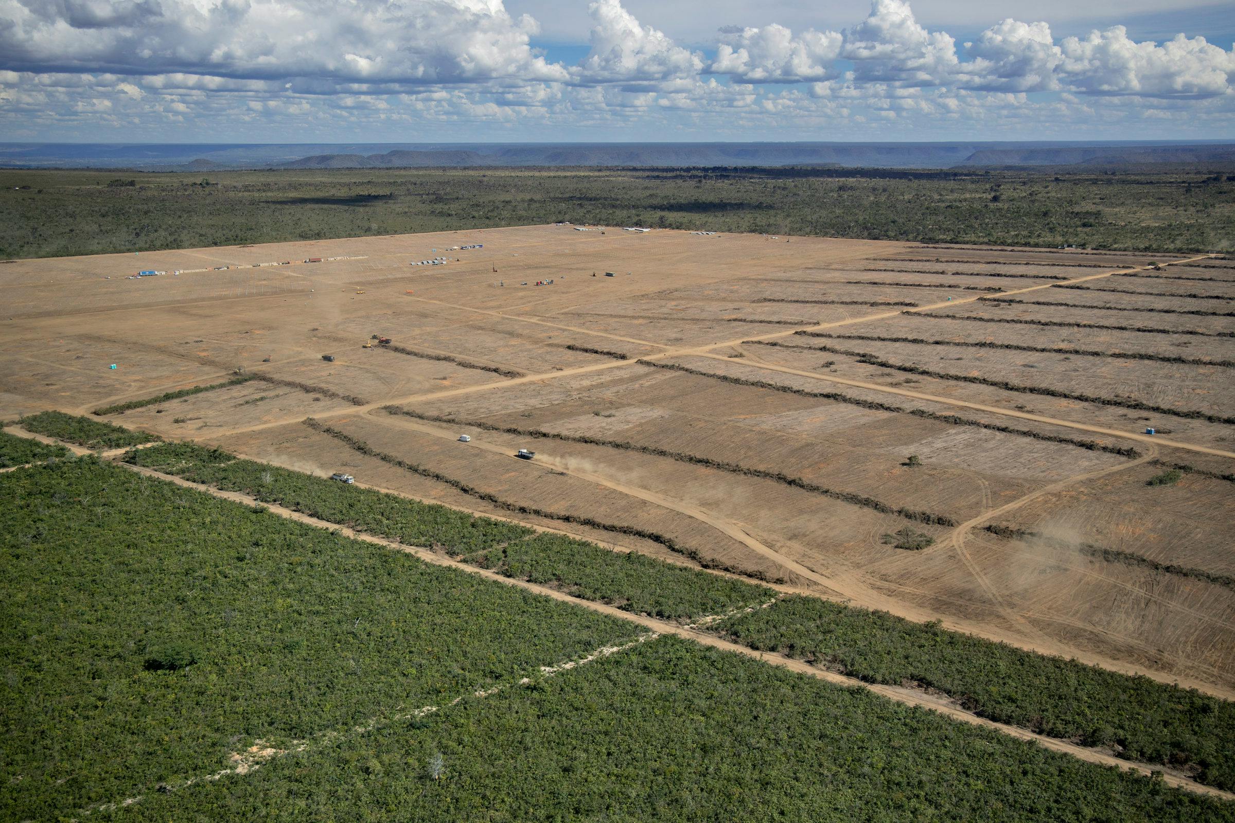 Deforestation_Cerrado_Brazil