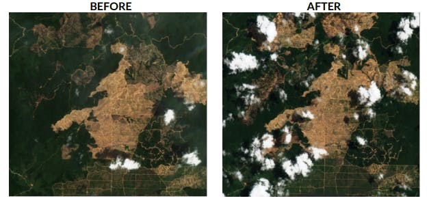 Images of Sulaidy owned plantation PT Borneo Citra Persada Mandiri demonstrating deforestation occurring over the course of 2020. Image: CRR