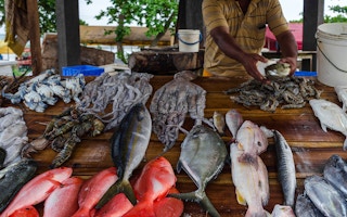 fish vendor Sri Lanka