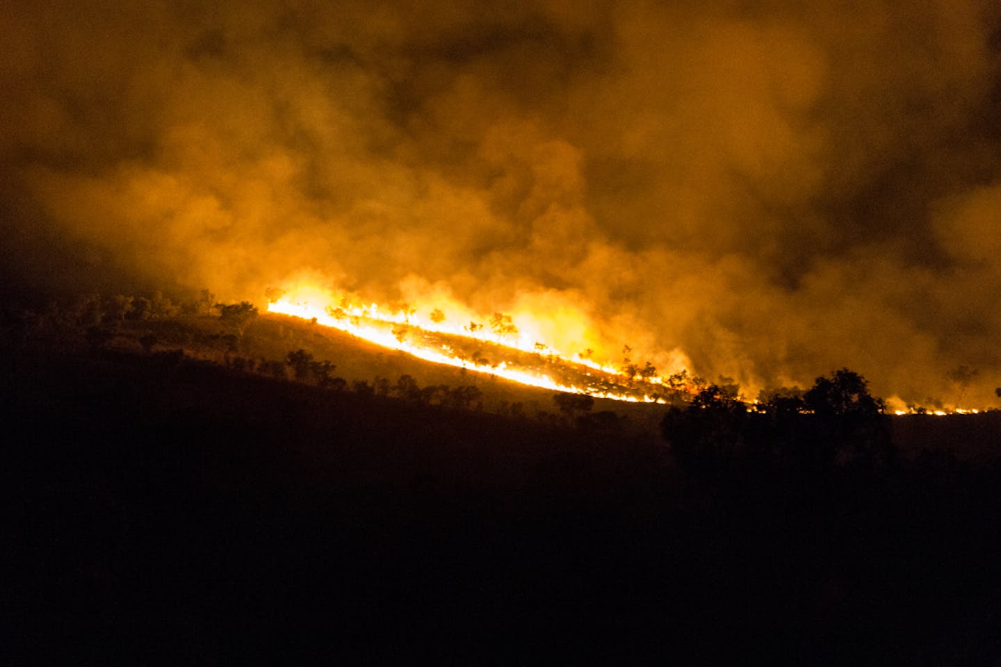 australia bushfire