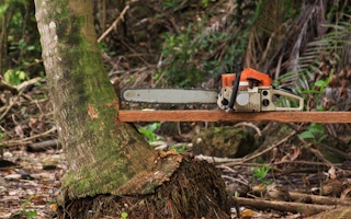 Chainsaw used to cut forests in Sumatra, Indonesia.