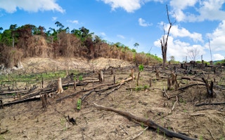 Deforestation in the Philippines