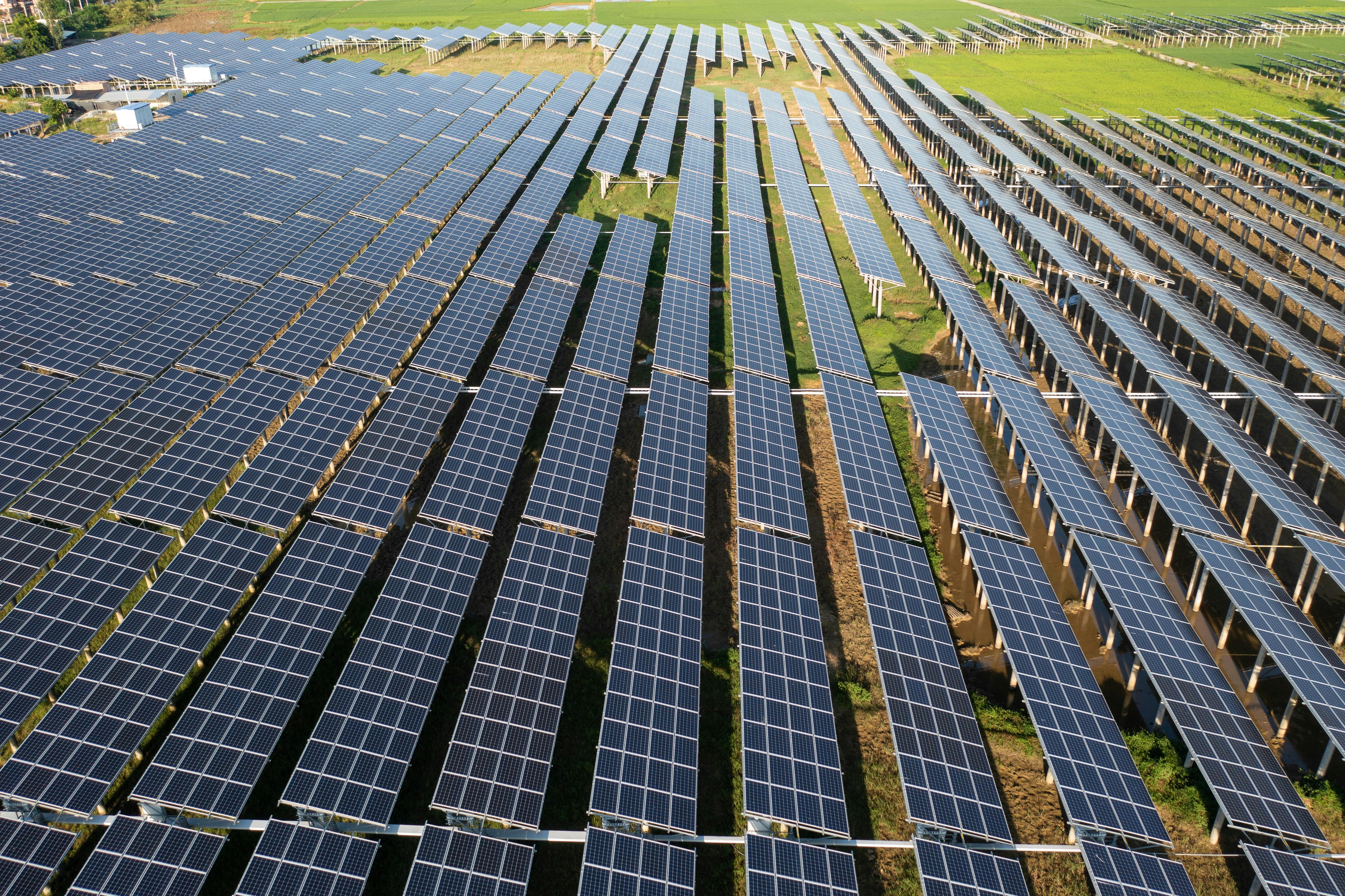 Solar energy panels in a rice field