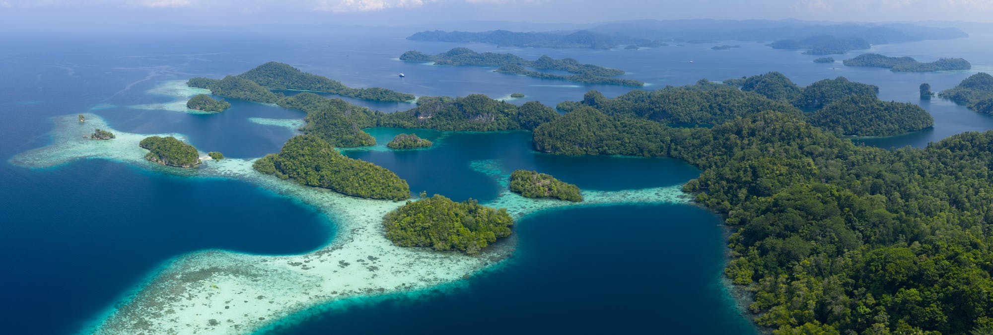 Coral reefs in Raja Ampat, Indonesia