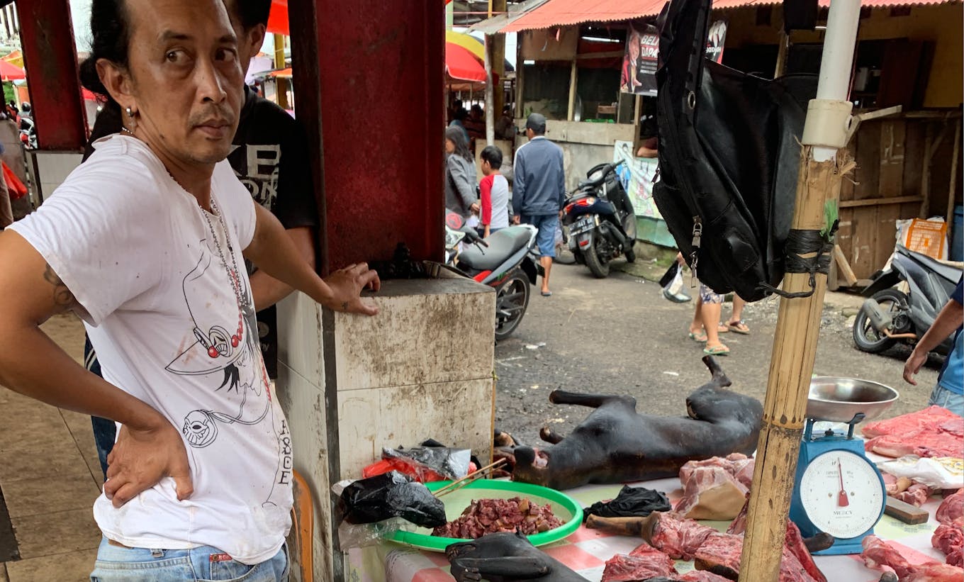 Dog meat_Sulawesi