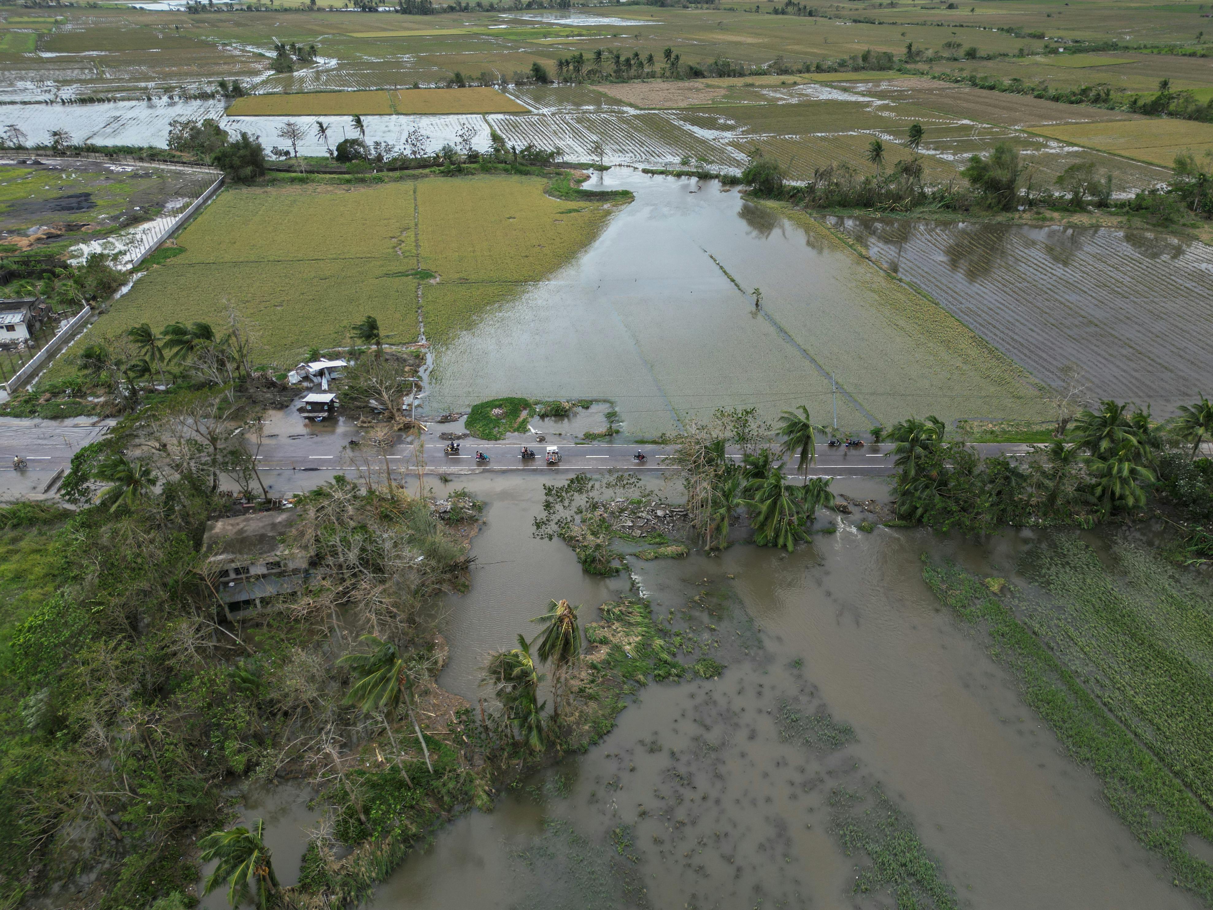 Typhoon_Fung_Wong_Farmland_Philippines