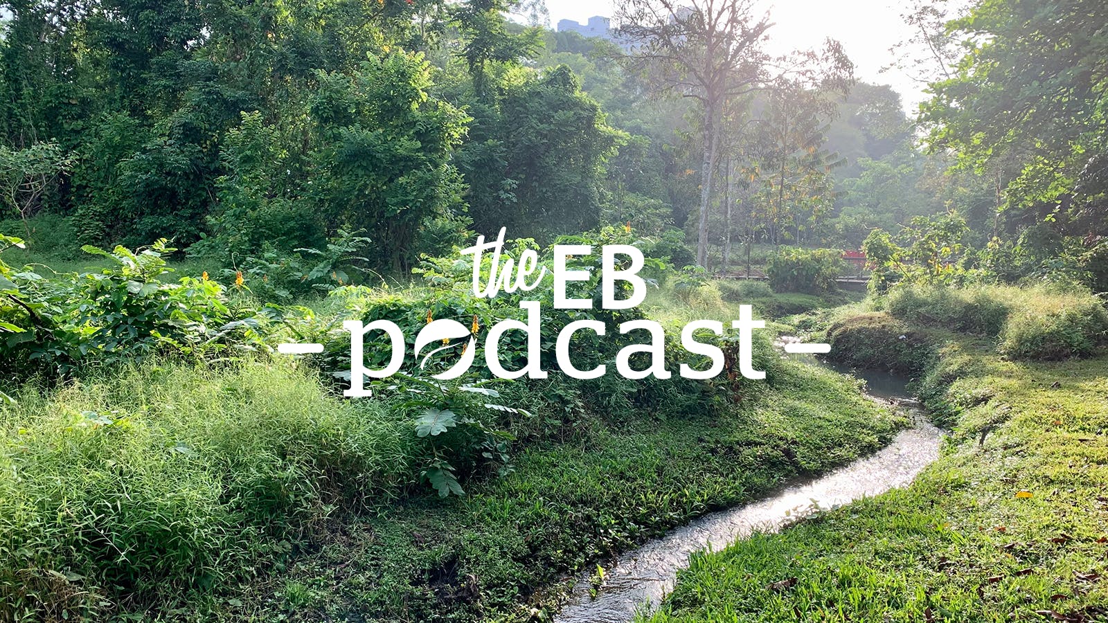 Biophobia in the city podcast with Dr Denise Dillon.