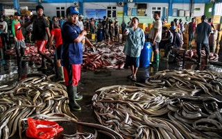 Indonesian fishers