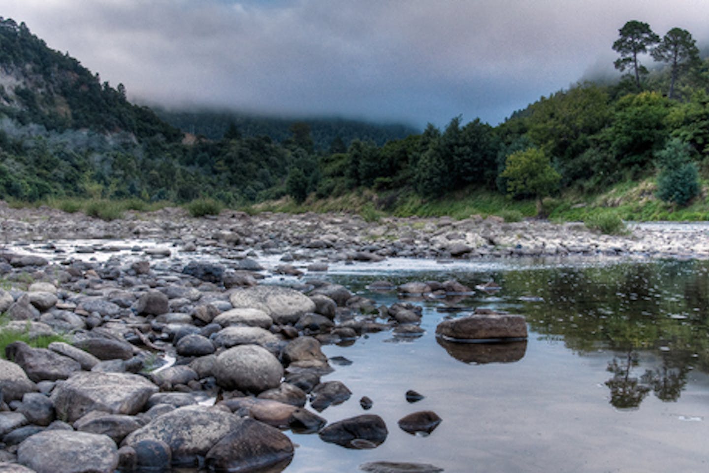 nature new zealand