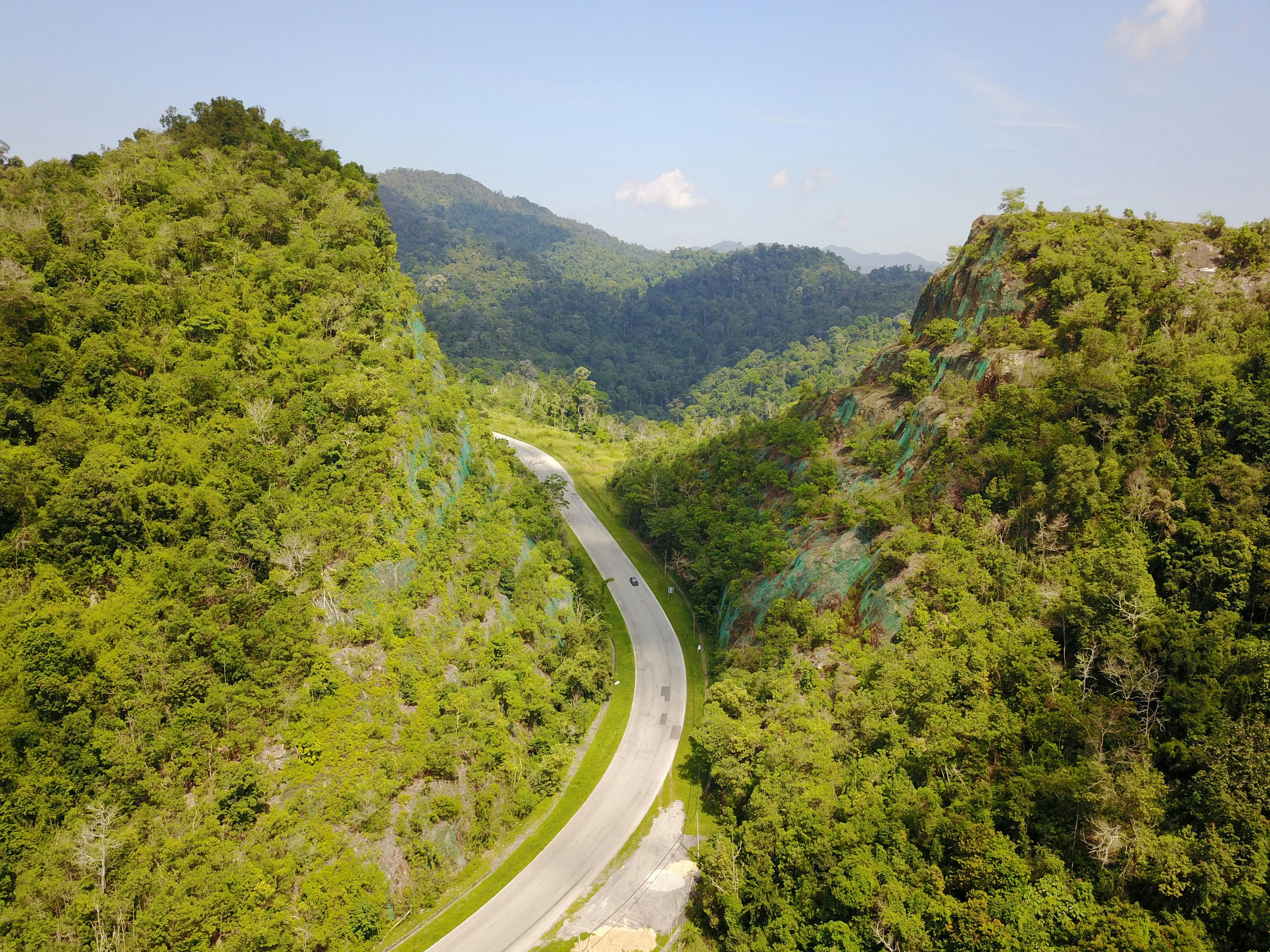 Forest fragmentation