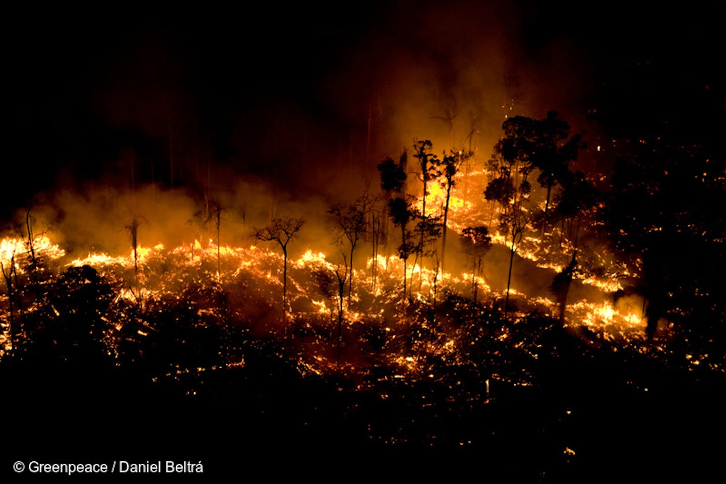 Amazon Rainforest Fires Turn Sao Paulo S Sky Black News Eco Business Asia Pacific
