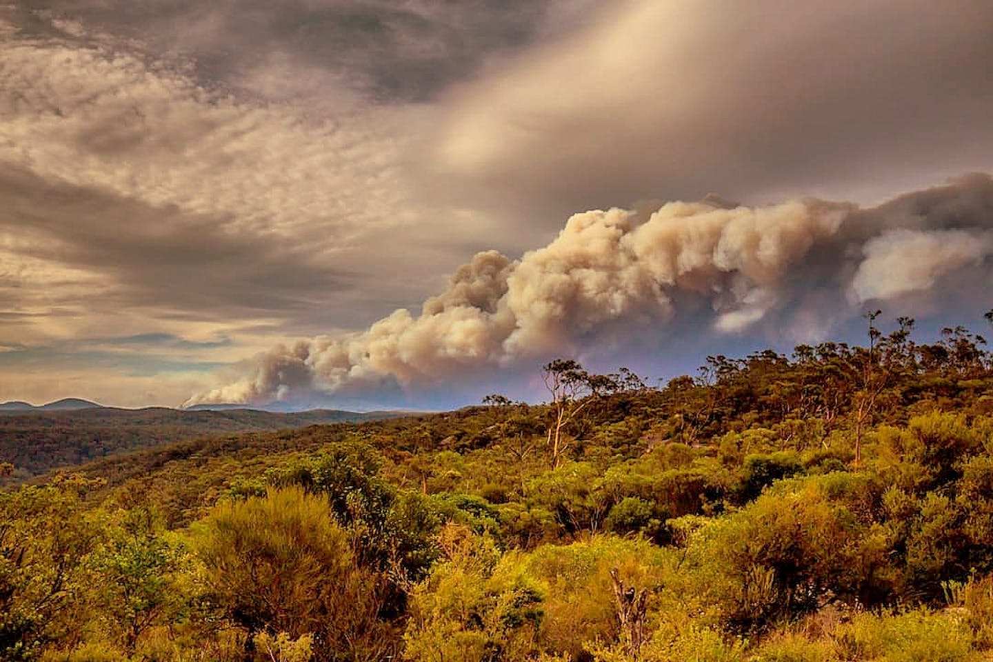 Gospers Mountain bushfires, Australia