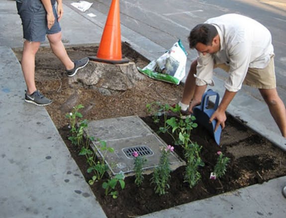 A guerrilla garden in the United States