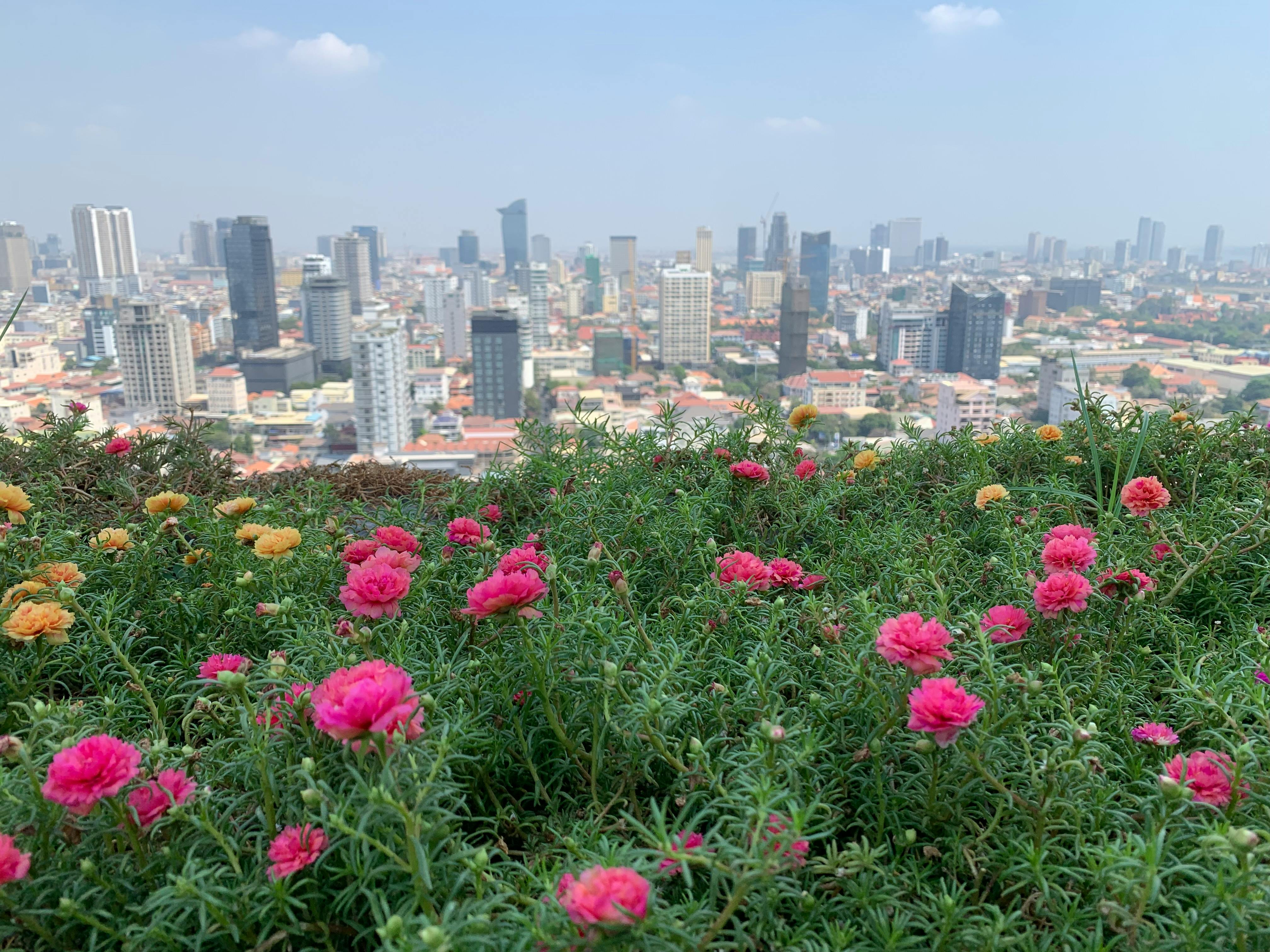 View from downtown Phnom Penh