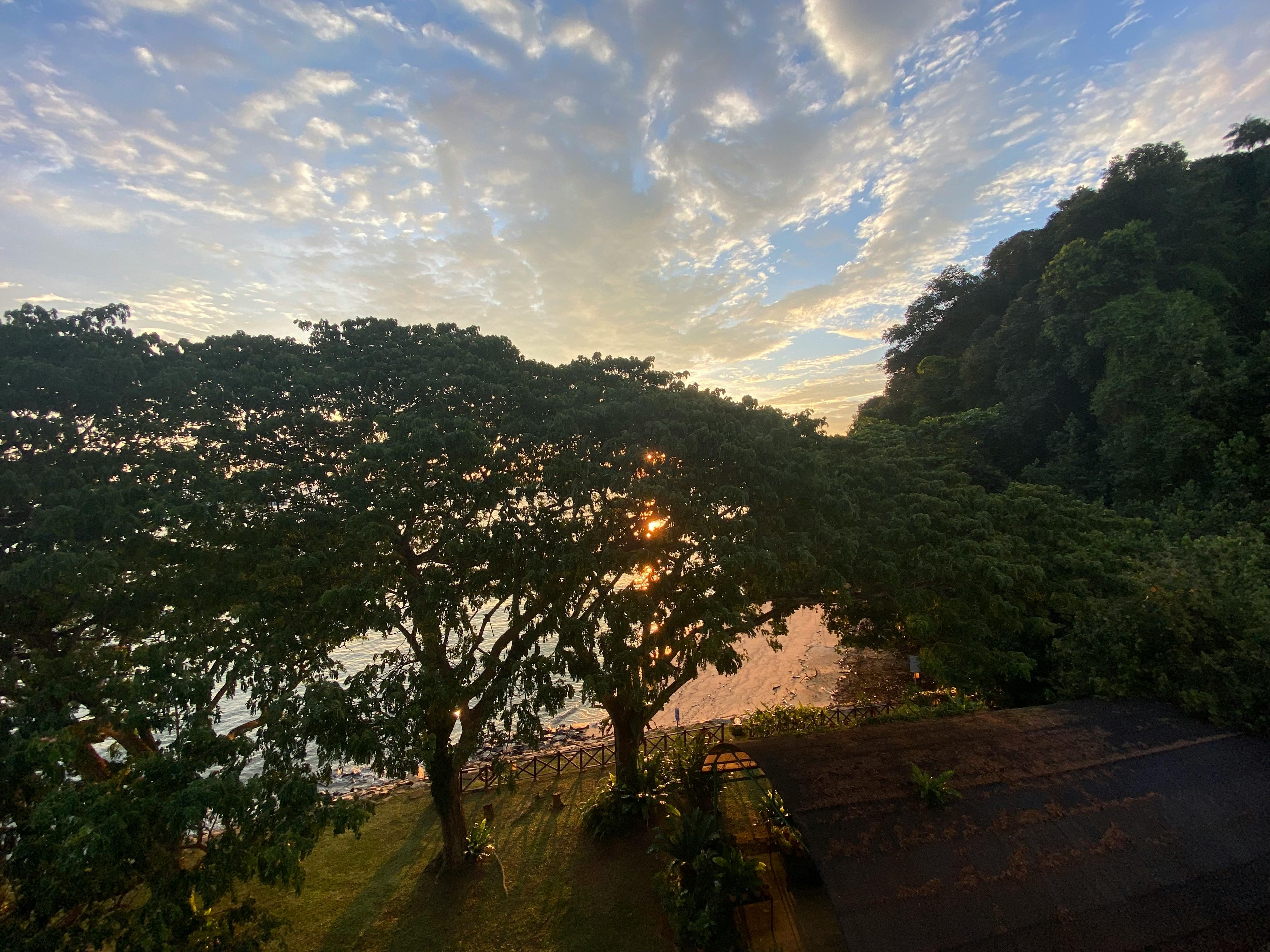 Peace with Nature Singapore