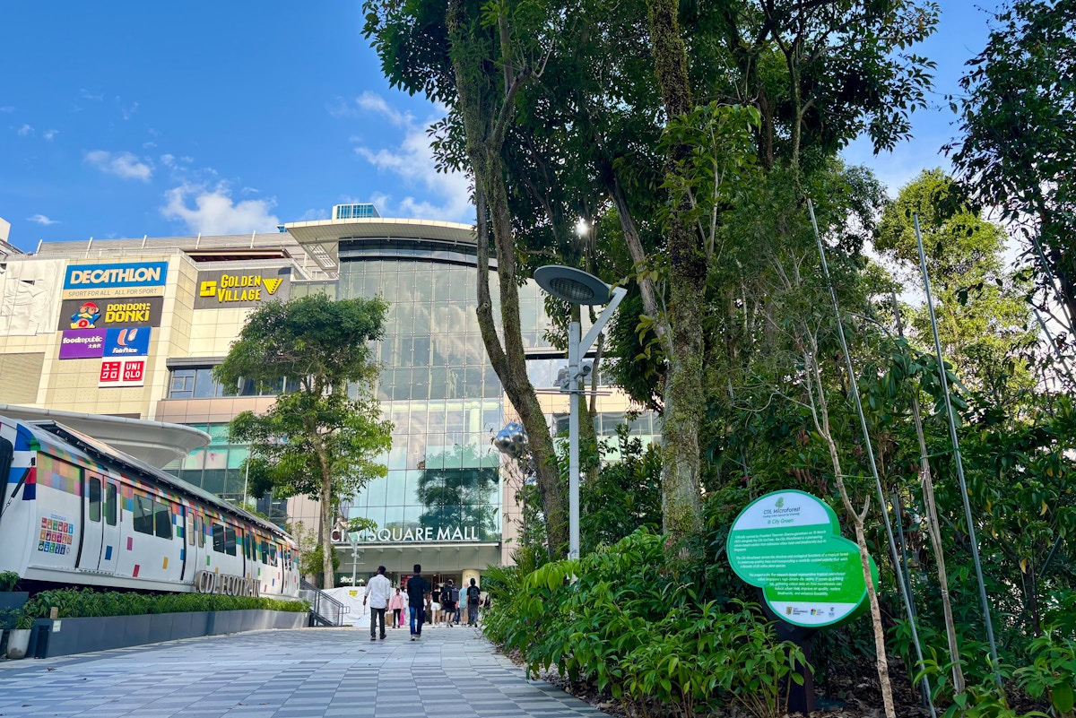 CDL Expands Microforest Project in Singapore