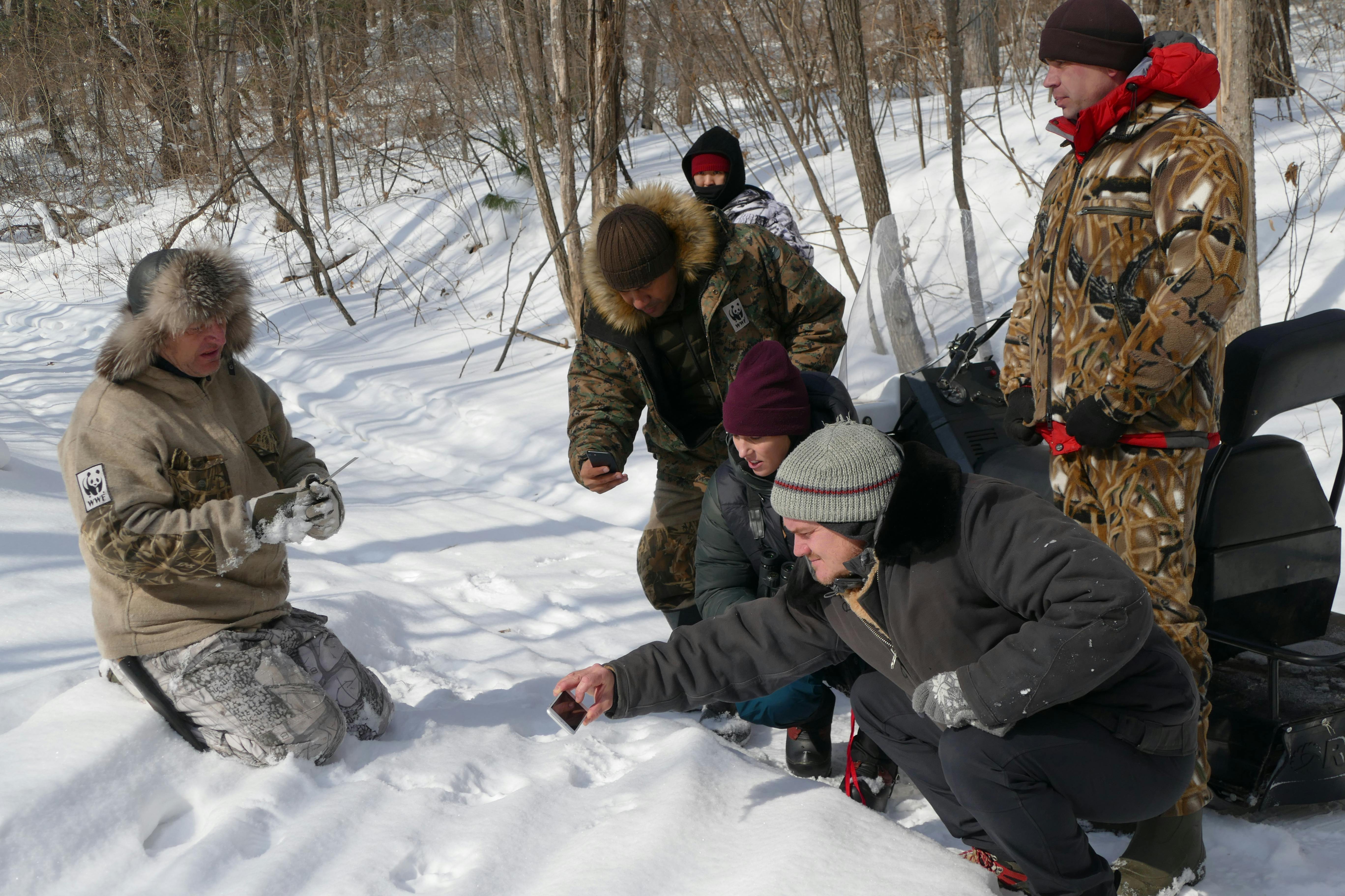 Dr Ashley Brooks tracking a tiger in the snow. Image: Ashley Brooks