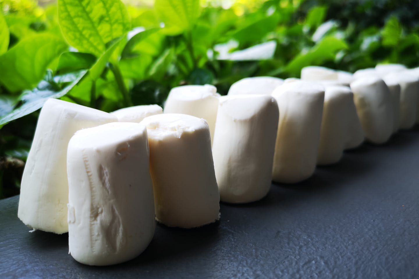 The formula, here seen in pellet form, has been billed as an eco solution to degrading styrofoam waste, livestock growth, pests, baldness, bad odours, skin conditions, and a human detox treatment has been called out as green tech fraud. Image: Eco-Business