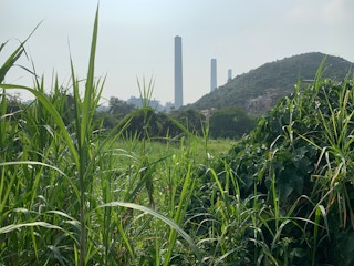 A coal-fired power station on Lamma Island, Hong Kong. Image: Robin Hicks/Eco-Business
