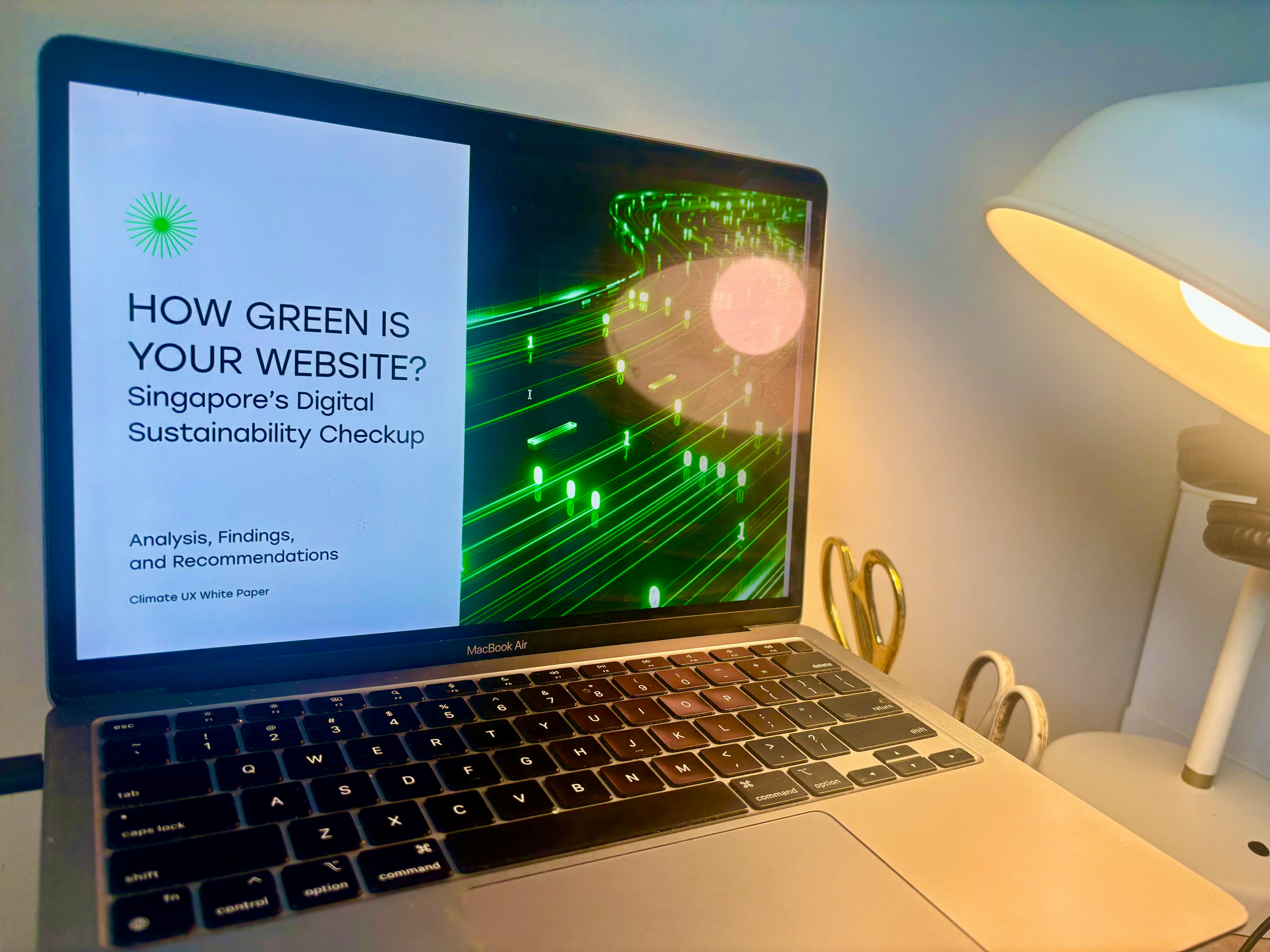 Singapore websites failing global climate metrics, study finds