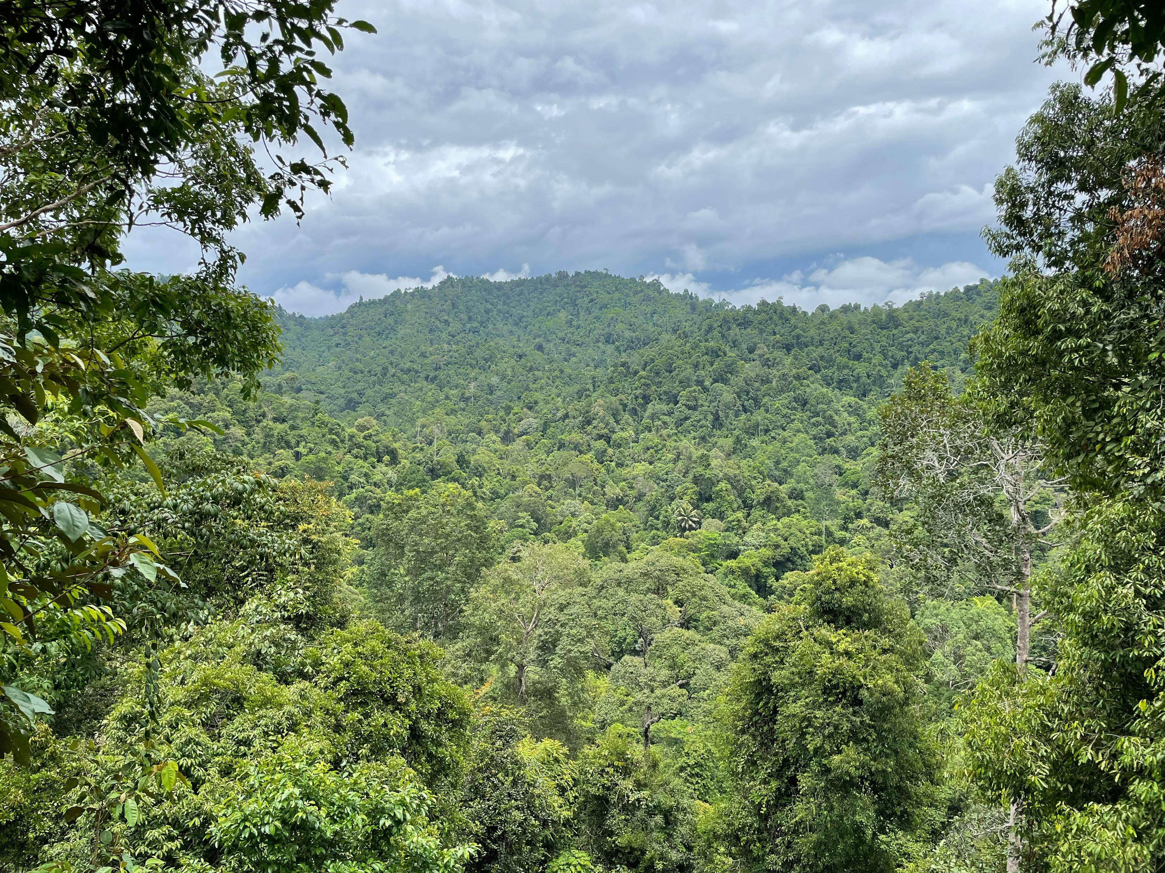 Sekar Imej Conservation Area