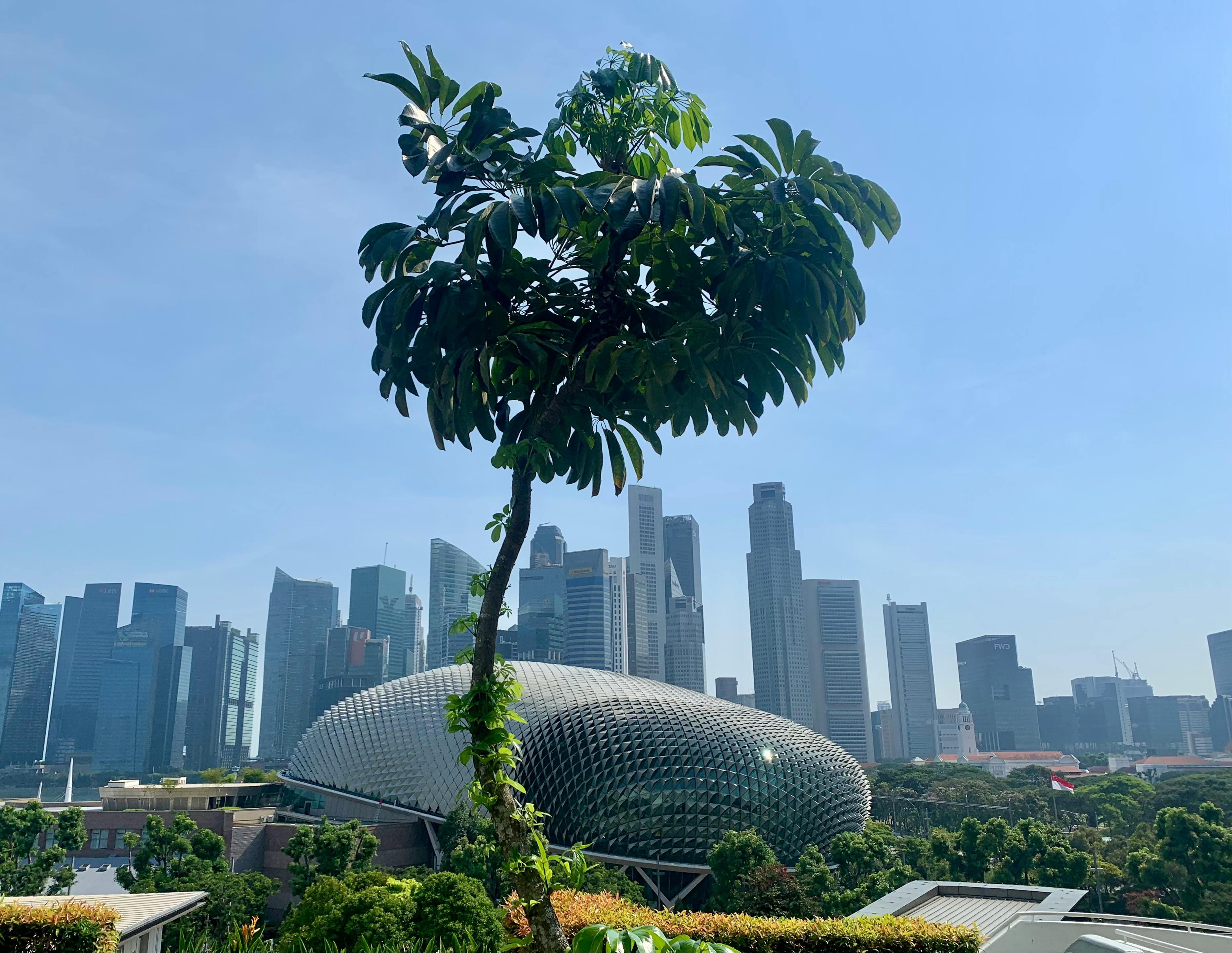 Singapore expands emissions registry to boost corporate carbon reporting