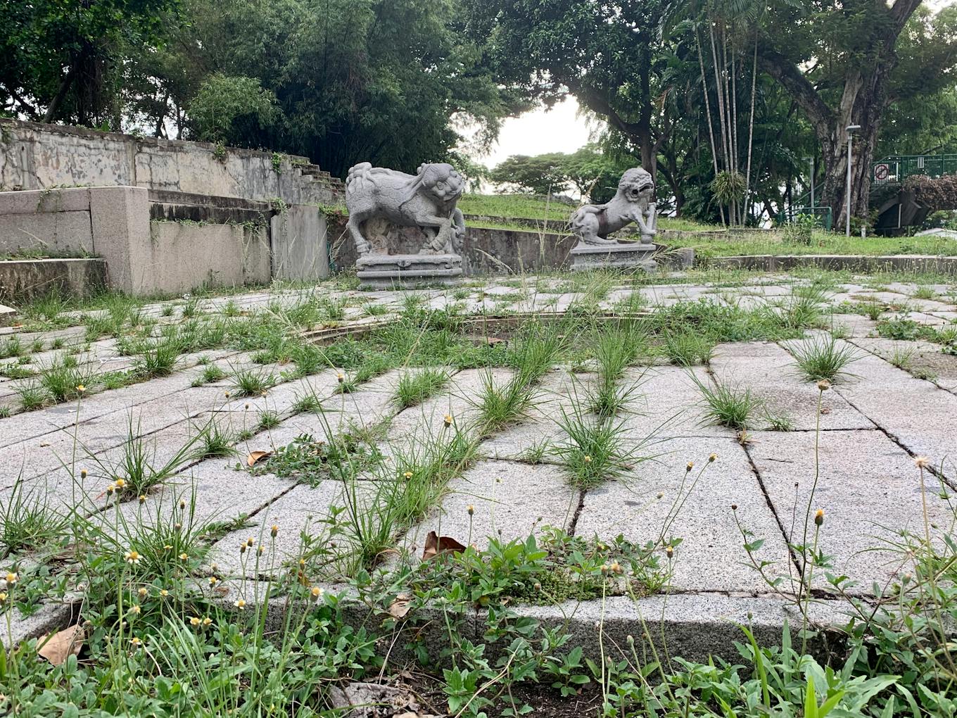 Weeds grow around a Chinese cemetery.