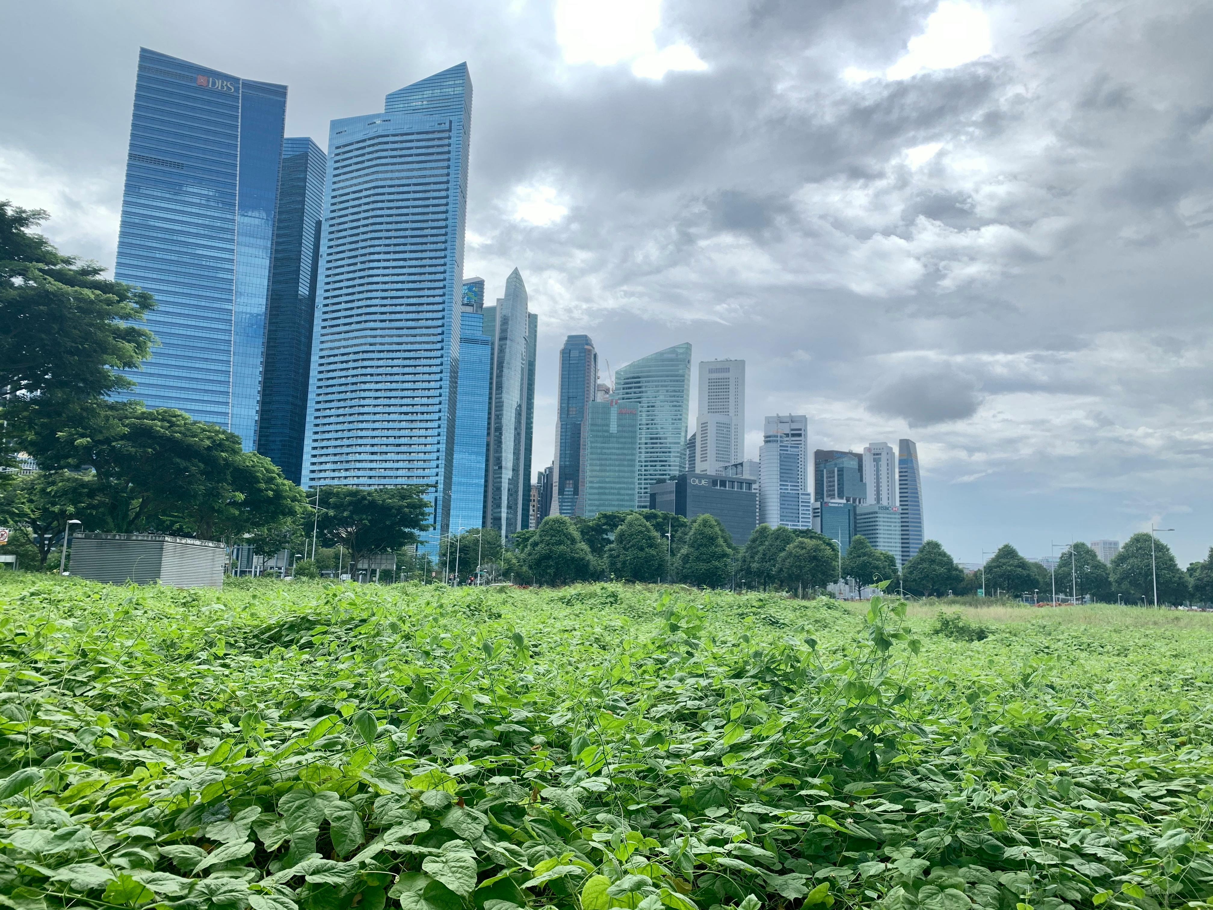 Singapore Opens Sustainable Finance Research And Talent Development Hub ...