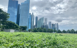 Singapore's central business district.