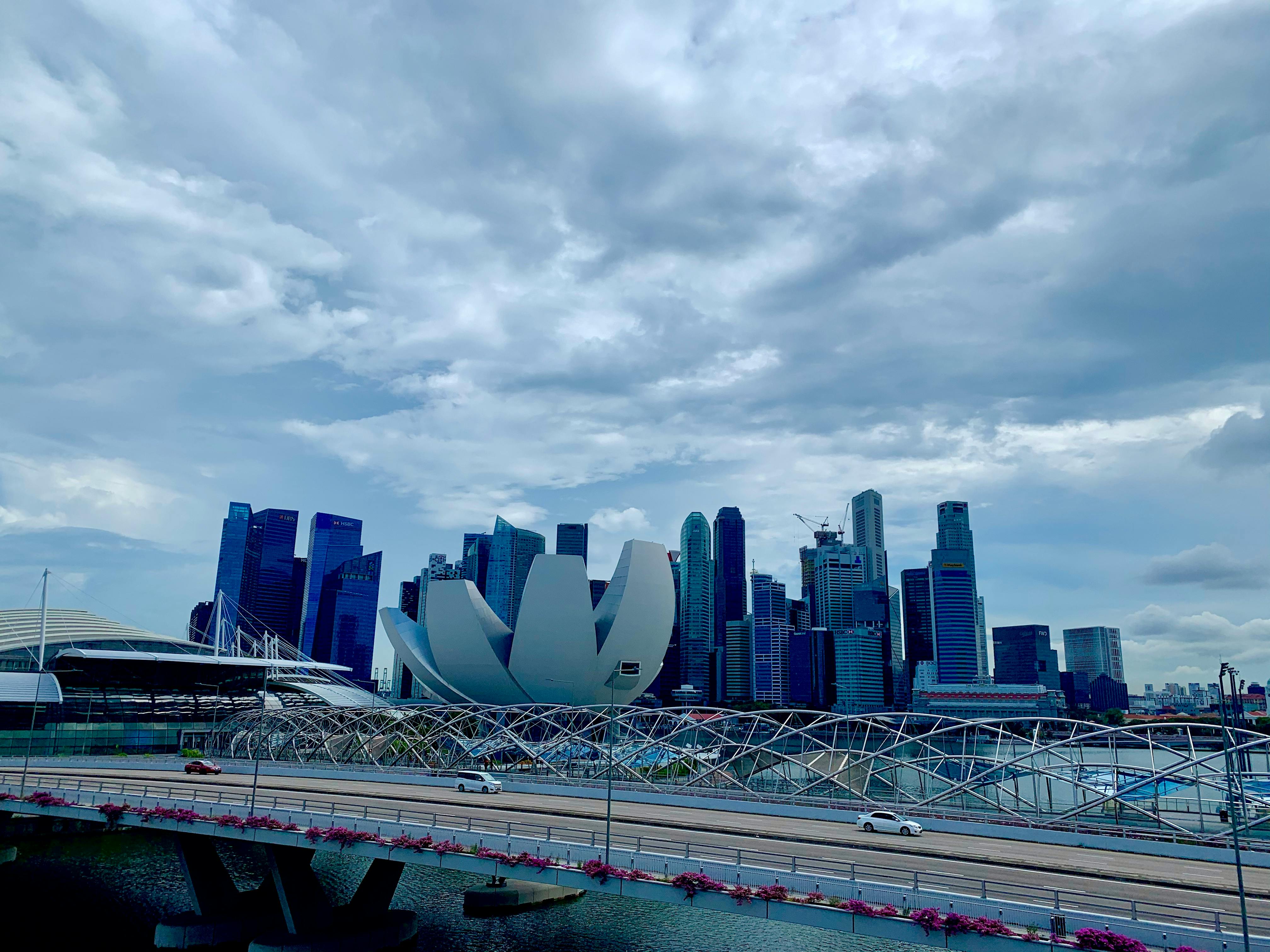 Singapore's Green Taxonomy Should Lead, Not Lag | Opinion | Eco ...