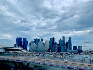 The Singapore skyline. Singapore is positioning itself as a regional hub for green finance as Southeast Asia looks to infrastructure to revive ailing economies.
