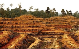 Palm oil, deforestation