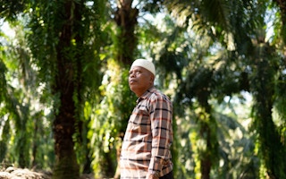 An independent palm oil farmer in Indonesia.