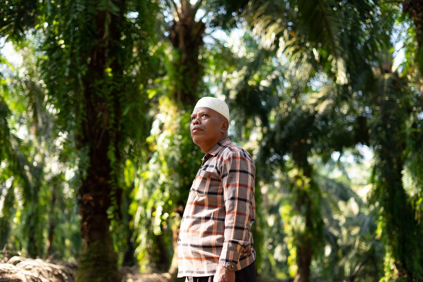 An independent palm oil farmer in Indonesia.