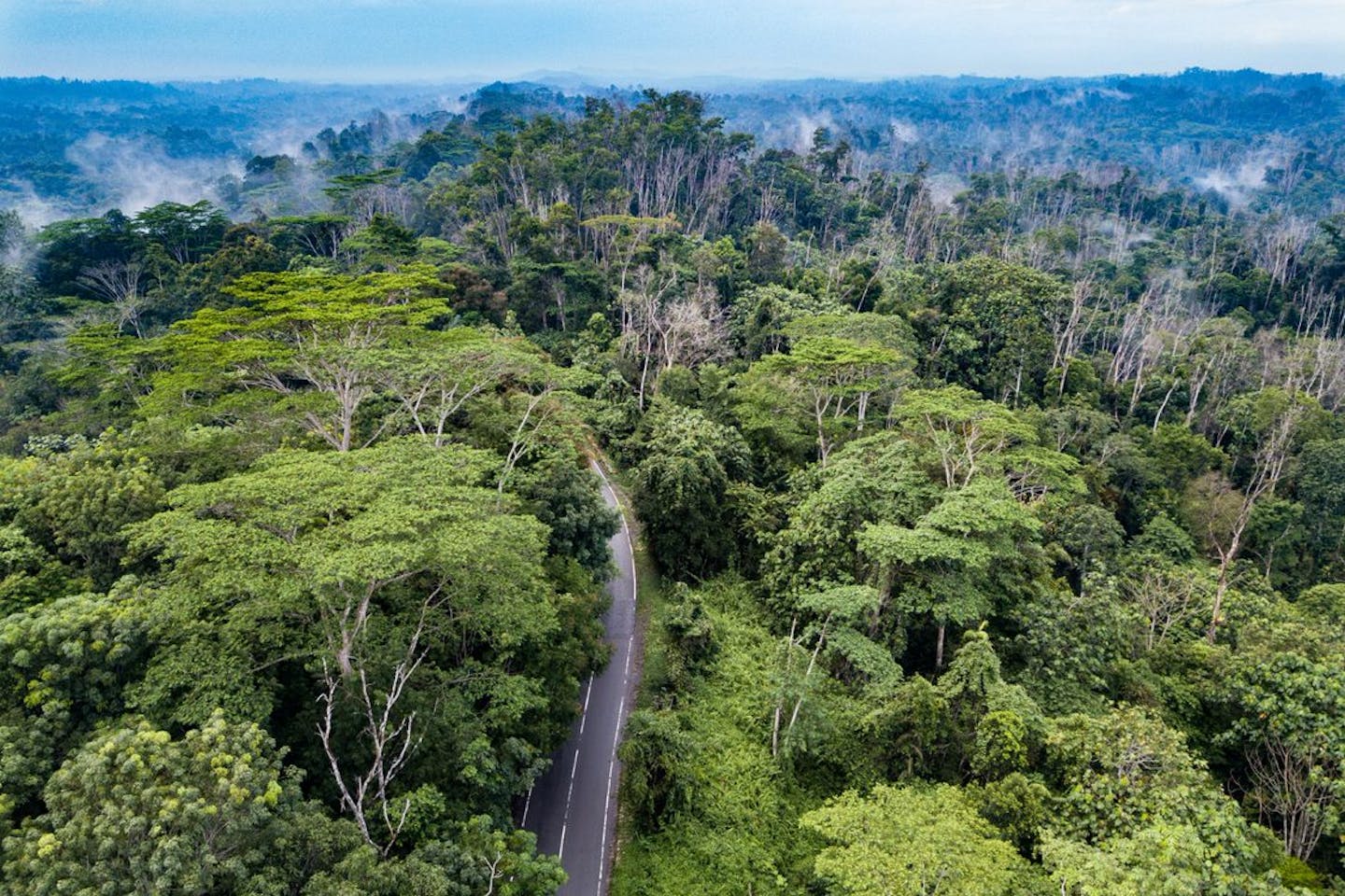 east kalimantan GGGI