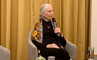 Dr Jane Goodall speaking at a press conference in Singapore. She said complaints from hotel customers would help to phase out shark's fin. Image: Eco-Business