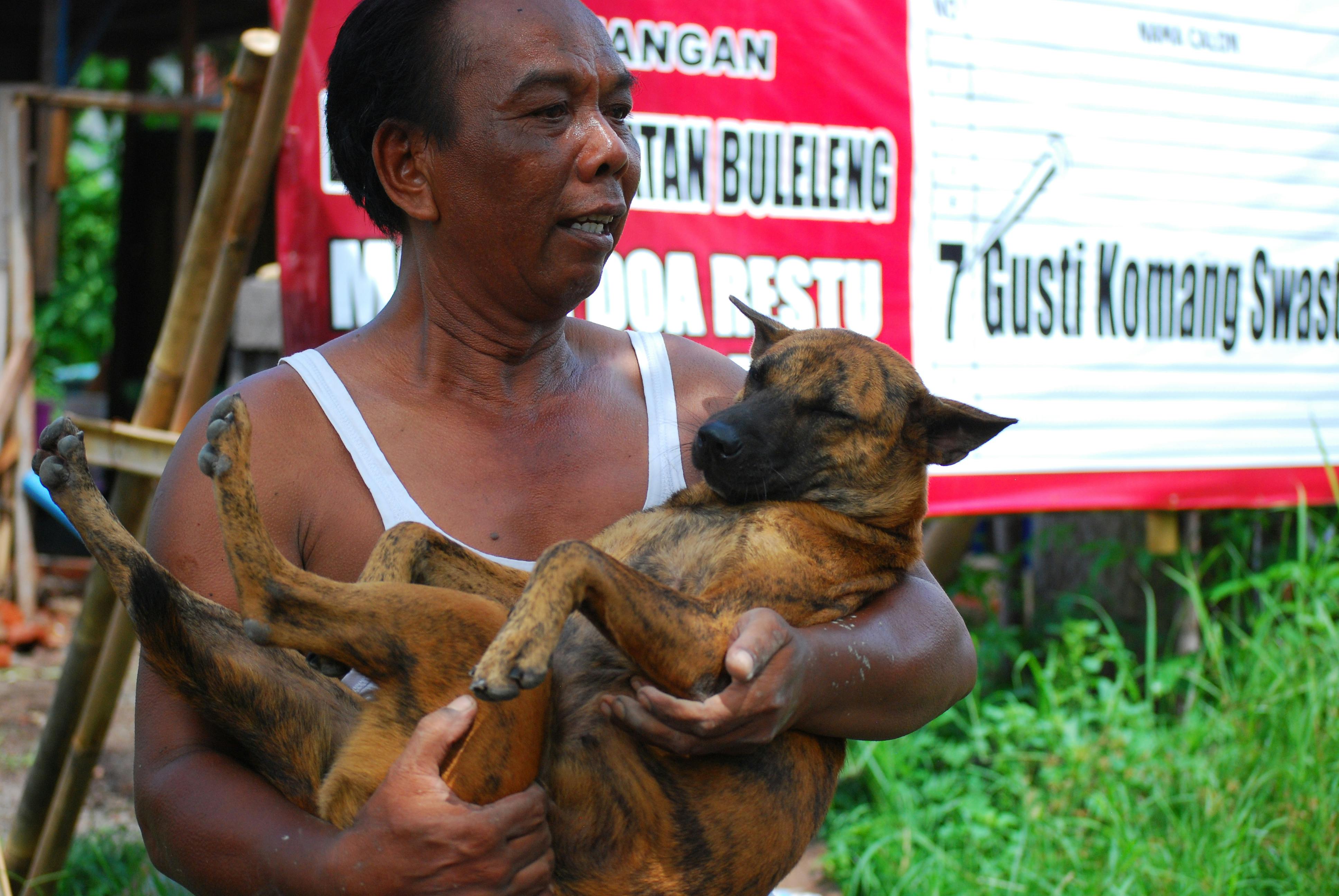 San lazaro hospital dog sales bite